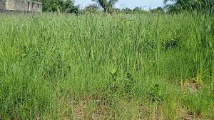 WhatsApp-Image-2023-11-05-at-21.49.33-2