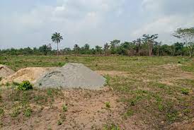 WhatsApp-Image-2023-11-05-at-21.49.33