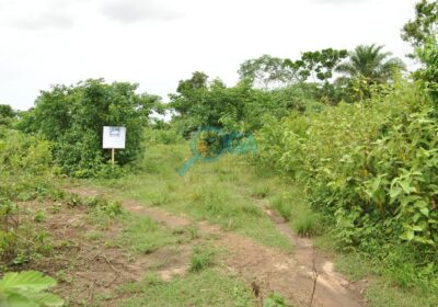 WhatsApp-Image-2023-11-05-at-21.49.34