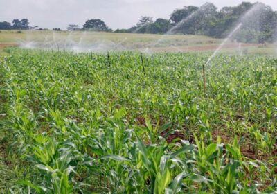sprinkler-irrigation