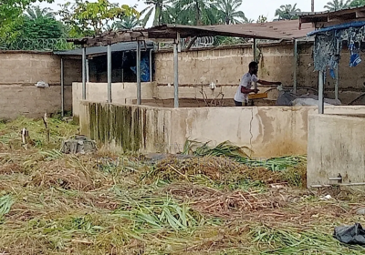 100481495_MTUwMC0xMTI1LTFkYjRhMzI0ZmQtMQ