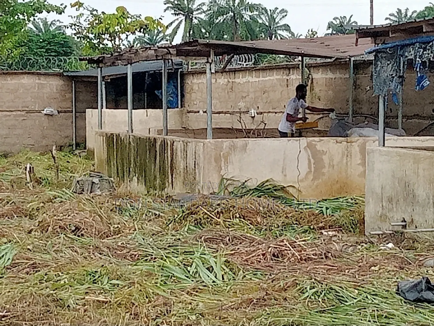 Fish Farm Fish Feeds Manufacturering Plants for Sale