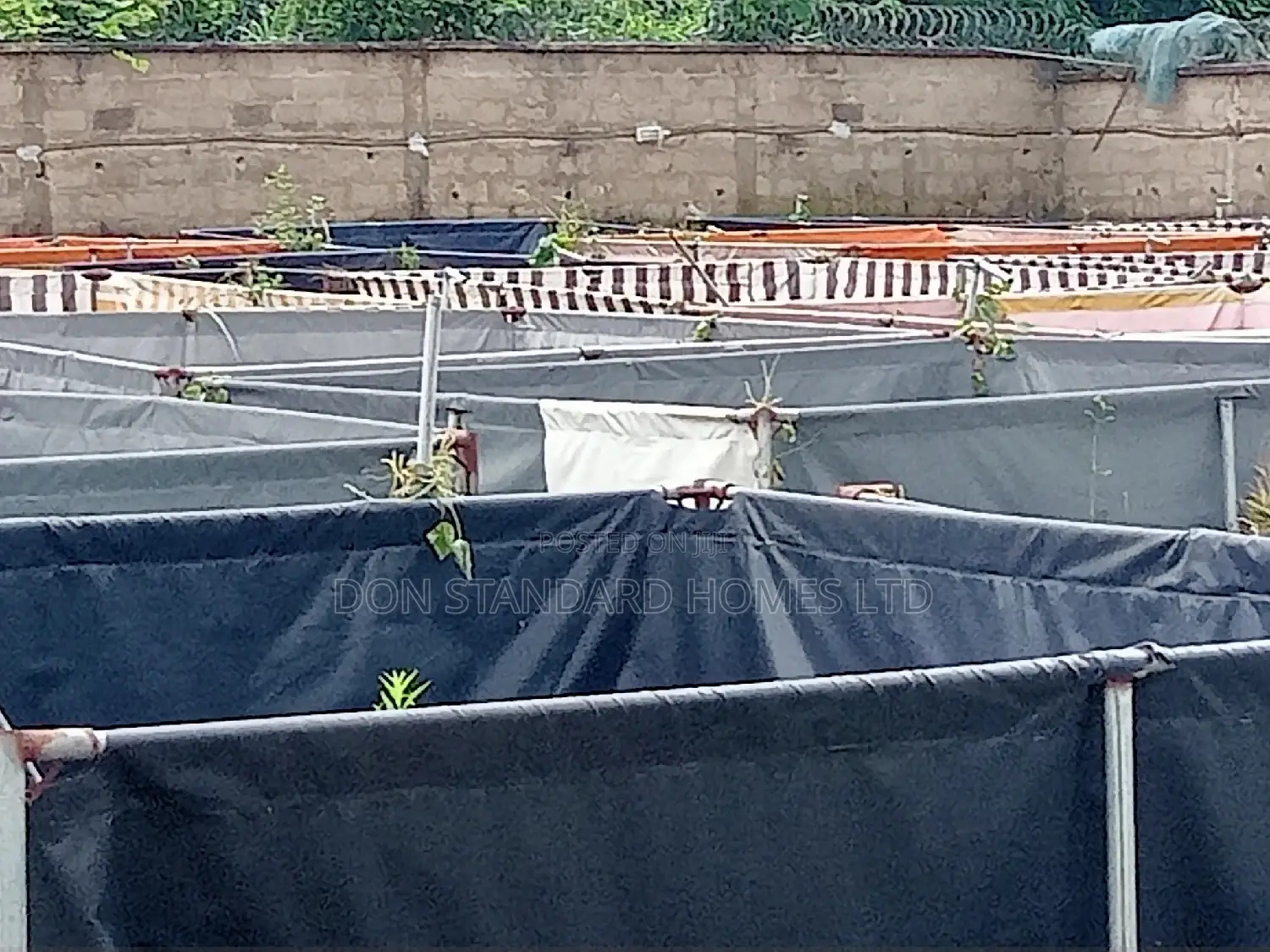 Fish Farm Fish Feeds Manufacturering Plants for Sale