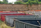 Fish Farm Fish Feeds Manufacturering Plants for Sale