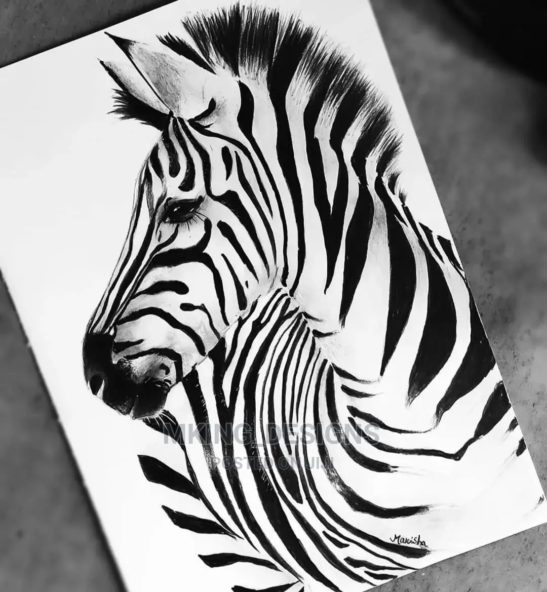 Pencil Sketch Drawings