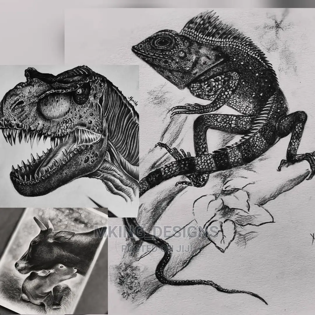 Pencil Sketch Drawings