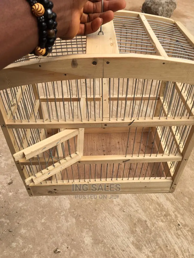 One Yellow/Black Canery Bird With Medium Wooden Cage + Feed