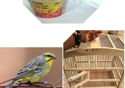 129045617_MTYwMC0xNjAwLTM4ZWFjZjgwNTk