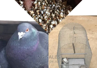 129122244_MTYwMC0xNjAwLWJiMGIwMTE0MjA