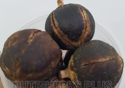 132348807_OTYwLTEyODAtNmU4MWE3ZDczYw