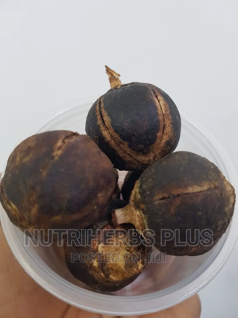 Goron Tula Increases Libido, Booster, Virginal Lubricants