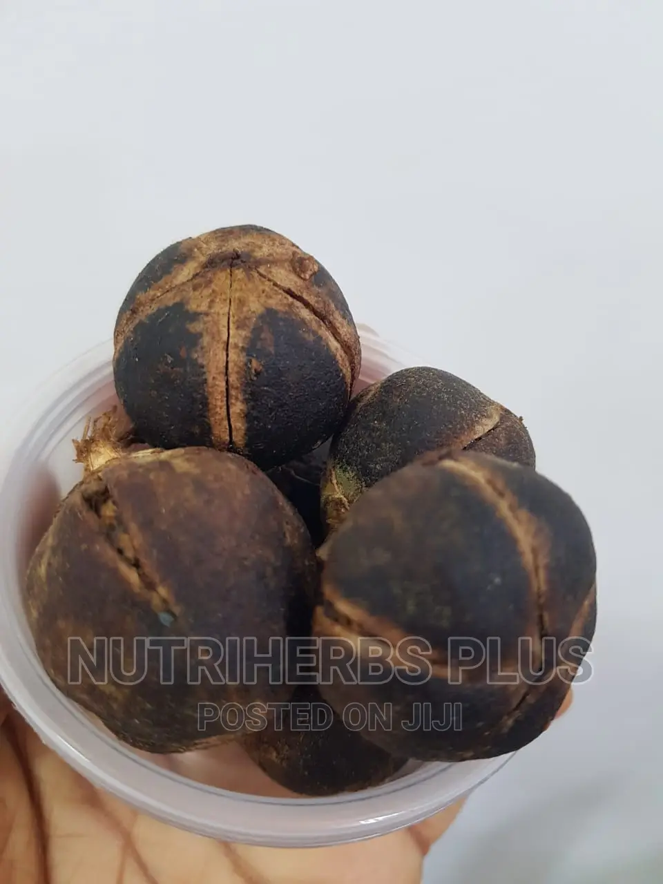 Goron Tula Increases Libido, Booster, Virginal Lubricants