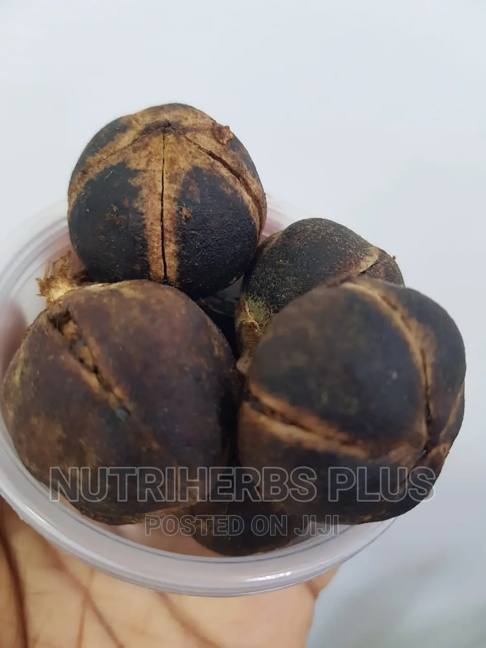 Goron Tula Increases Libido, Booster, Virginal Lubricants