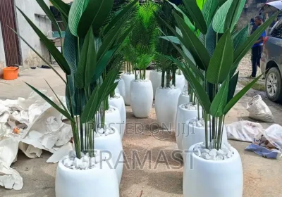 144143322_ODY0LTExNTItZjY5N2YyNzQzZi0x