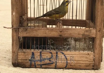 147369893_ODEwLTEwODAtMDYyNGIwNzU3YQ