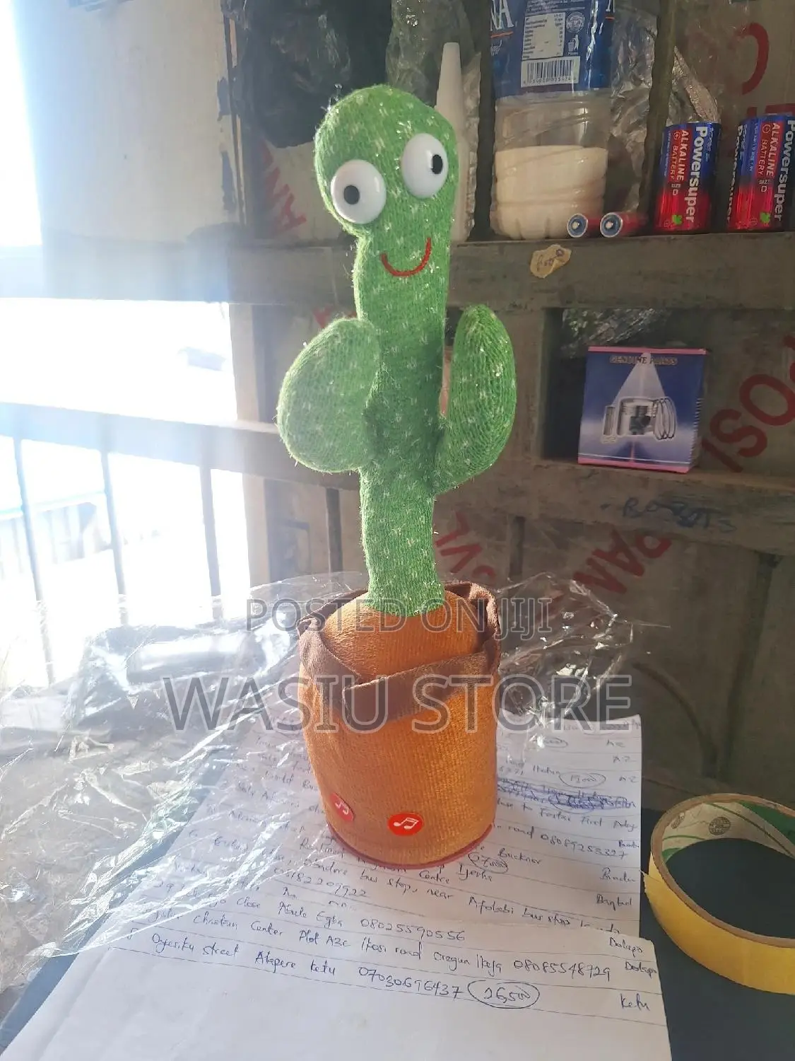 Dancing Cactus Toy