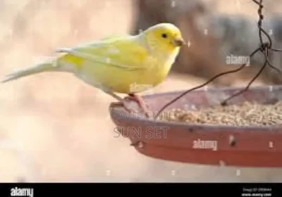 157413654_ODE2LTYwMC02NDcyOTg2Nzkx