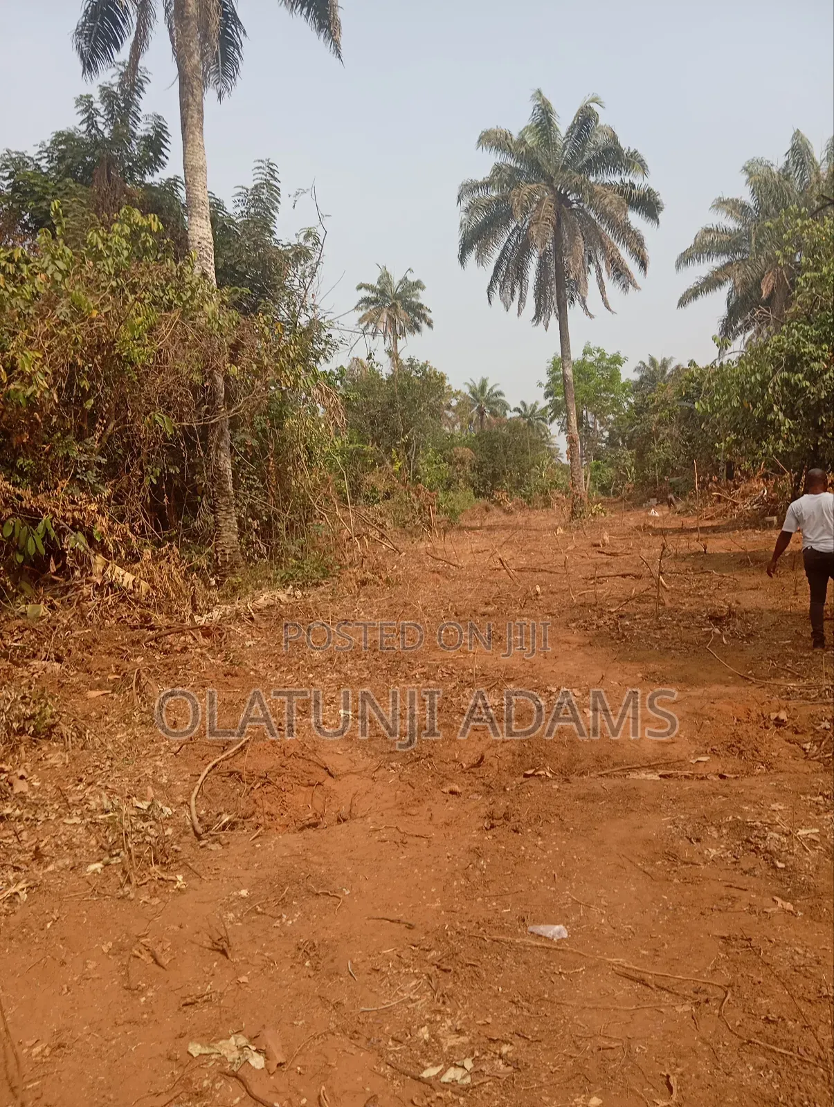 Plots of Land at Papanla After Alatorin Okinni