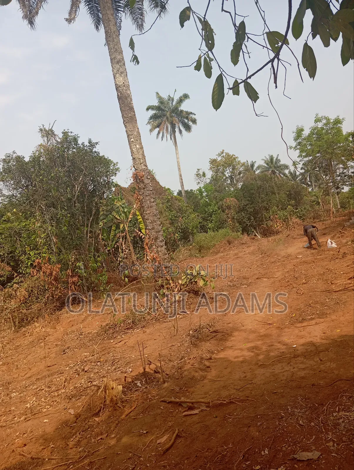 Plots of Land at Papanla After Alatorin Okinni