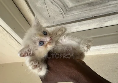 164963214_MTYwMC0xMjAwLWM4ZjlkNTExMzU