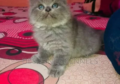 167515021_MTUzMi0xNjAwLTI5NGQ0NTgyYTk