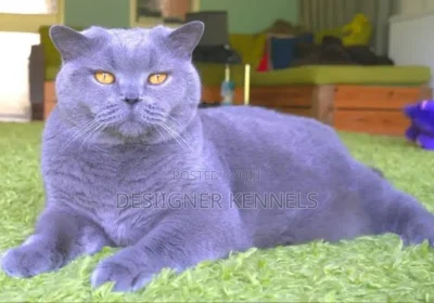 167593151_MTYwMC04OTktY2EyOTBlM2UzOA