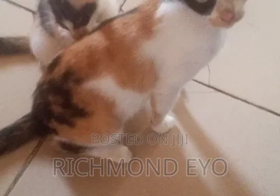 169137499_NzIwLTE2MDAtNjVlNGYwZDU3Ng