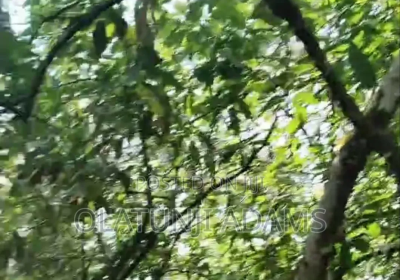 169450183_MTA3MS0xNjAwLWVjNmUyMjA5ZTU