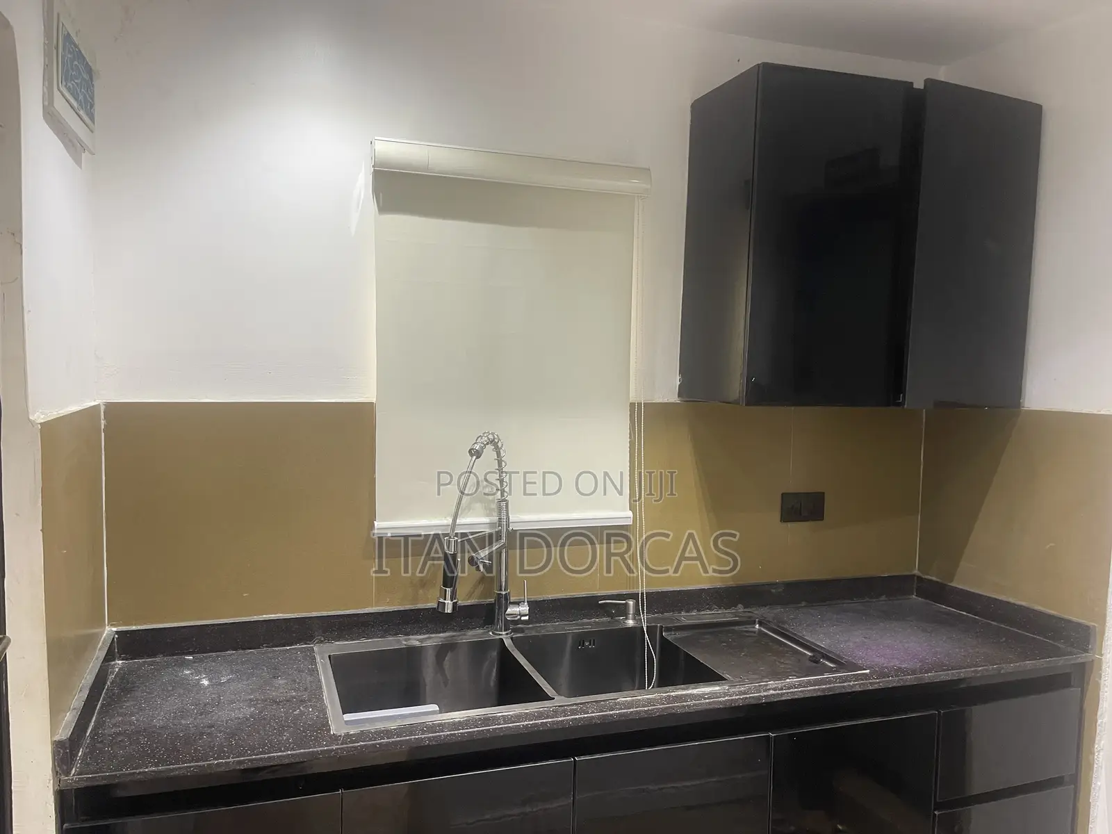 Conference/Training / Master Class/ Podcast