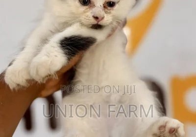 171805779_MTYwMC0yMTM0LTdkMzc0ZjY4ZjI