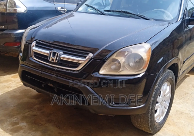 172119531_MTYwMC0xNjAwLWQ3Mzg3MWQ5ZGI