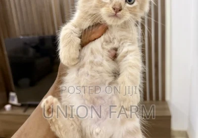 172690926_MTYwMC0yMTM0LWQyOTcwZjJmYTU