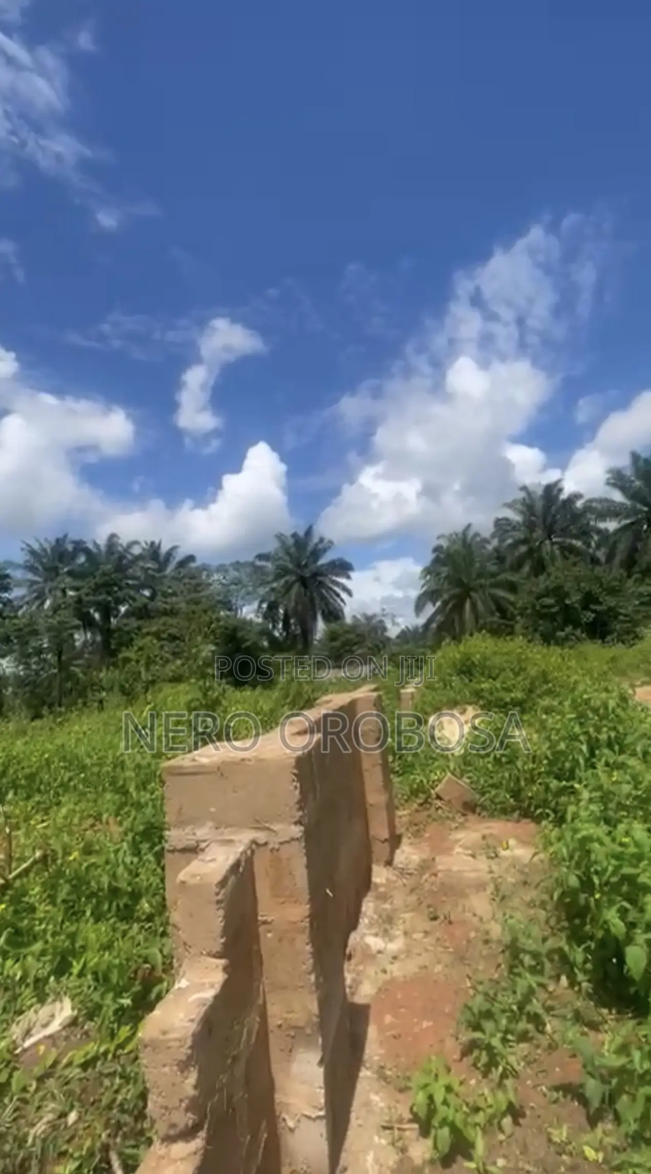 100ft by 300ft for Sell ( Benin City )