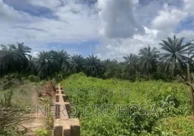 172872170_MTMyMC0yMjkyLTMwNDhlZjliNzQ