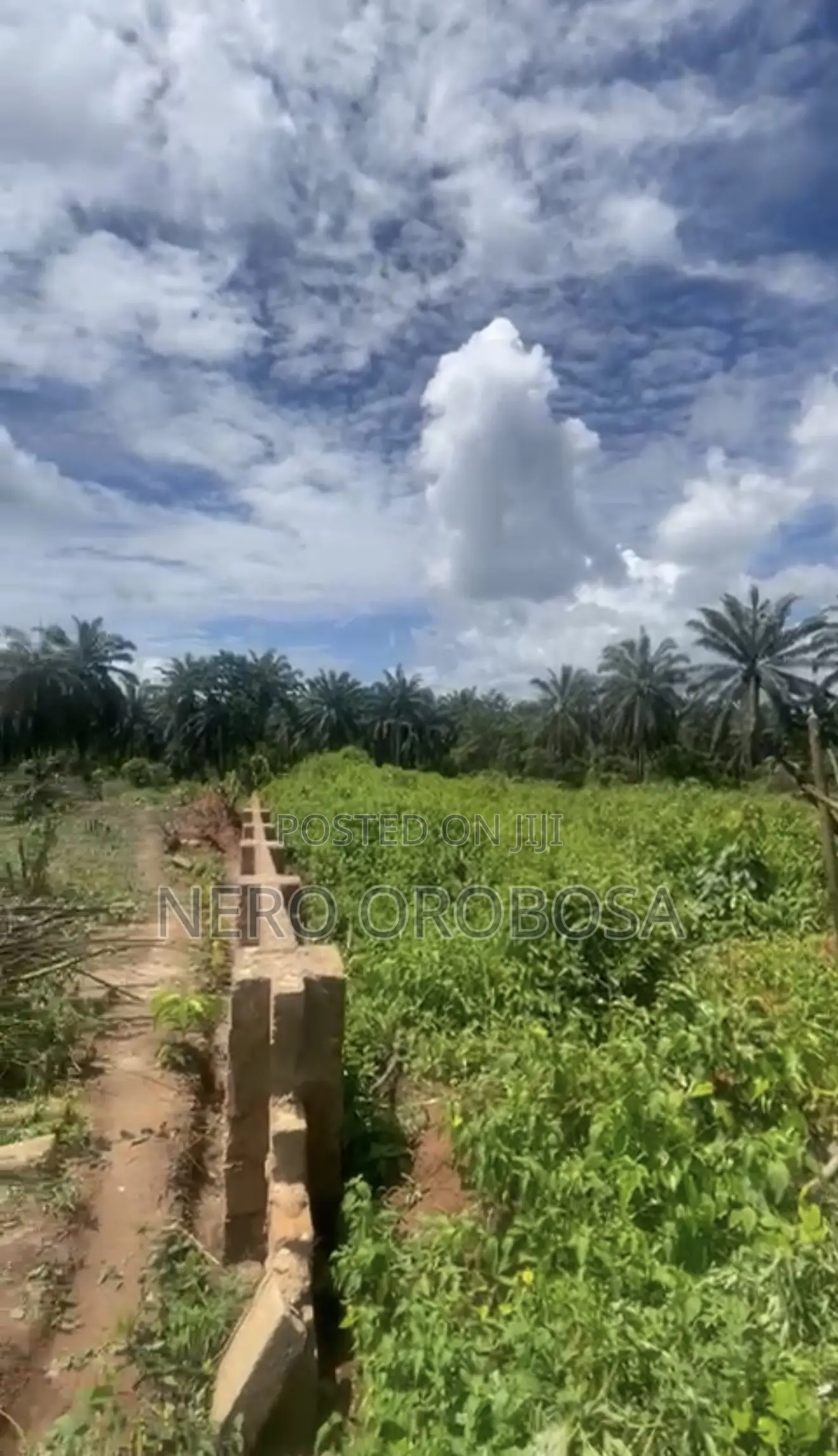 100ft by 300ft for Sell ( Benin City )