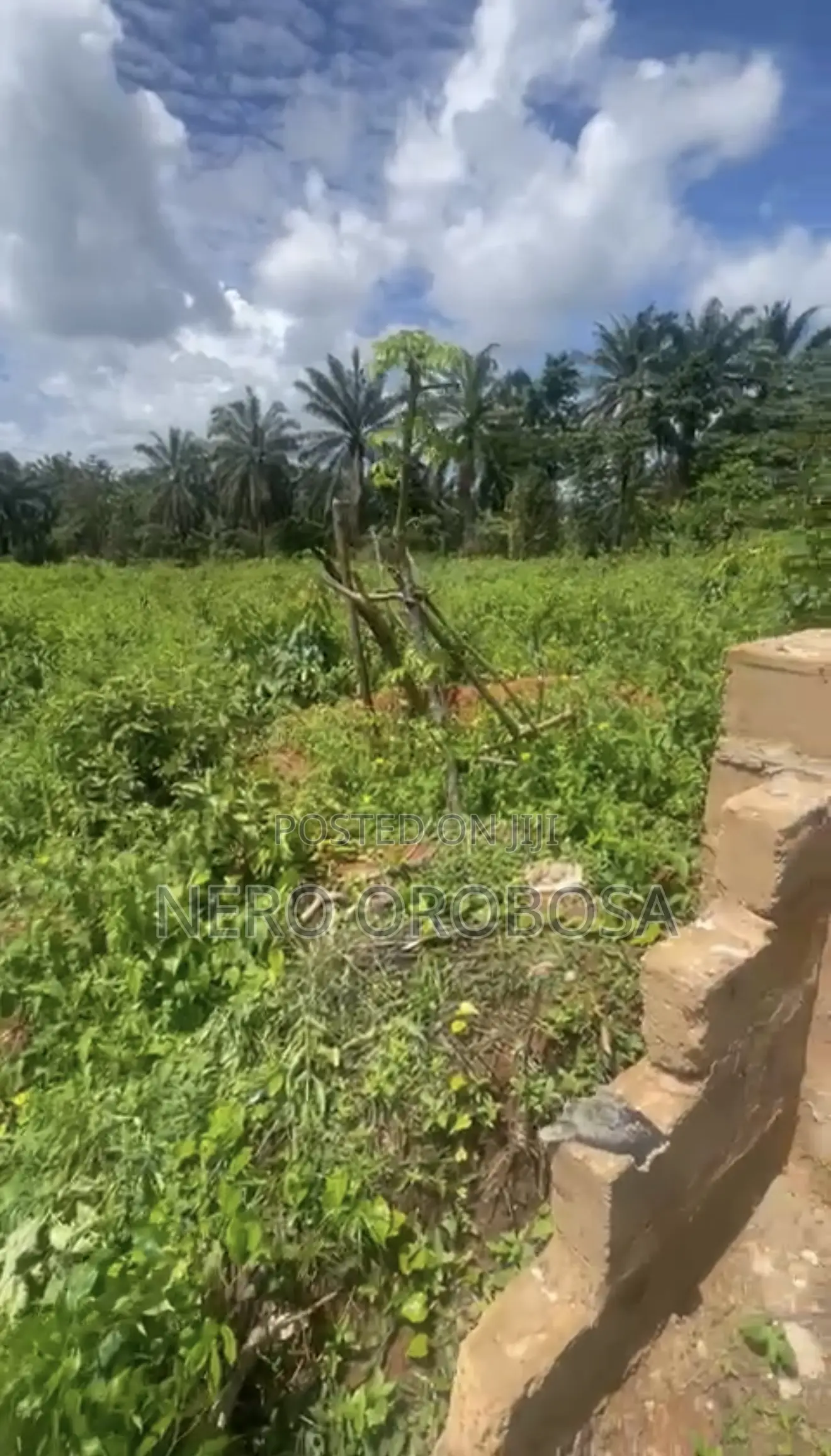 100ft by 300ft for Sell ( Benin City )