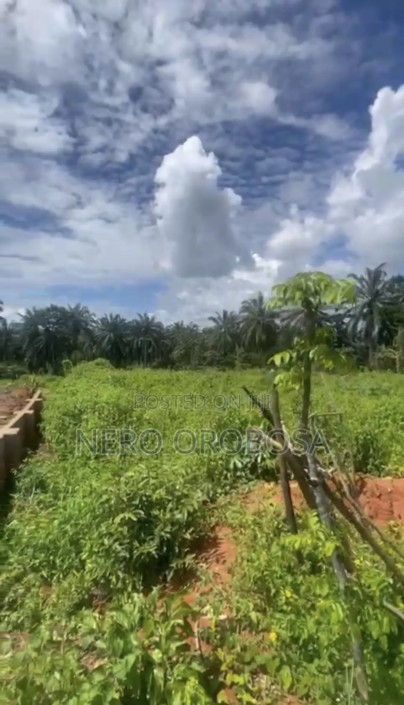 100ft by 300ft for Sell ( Benin City )