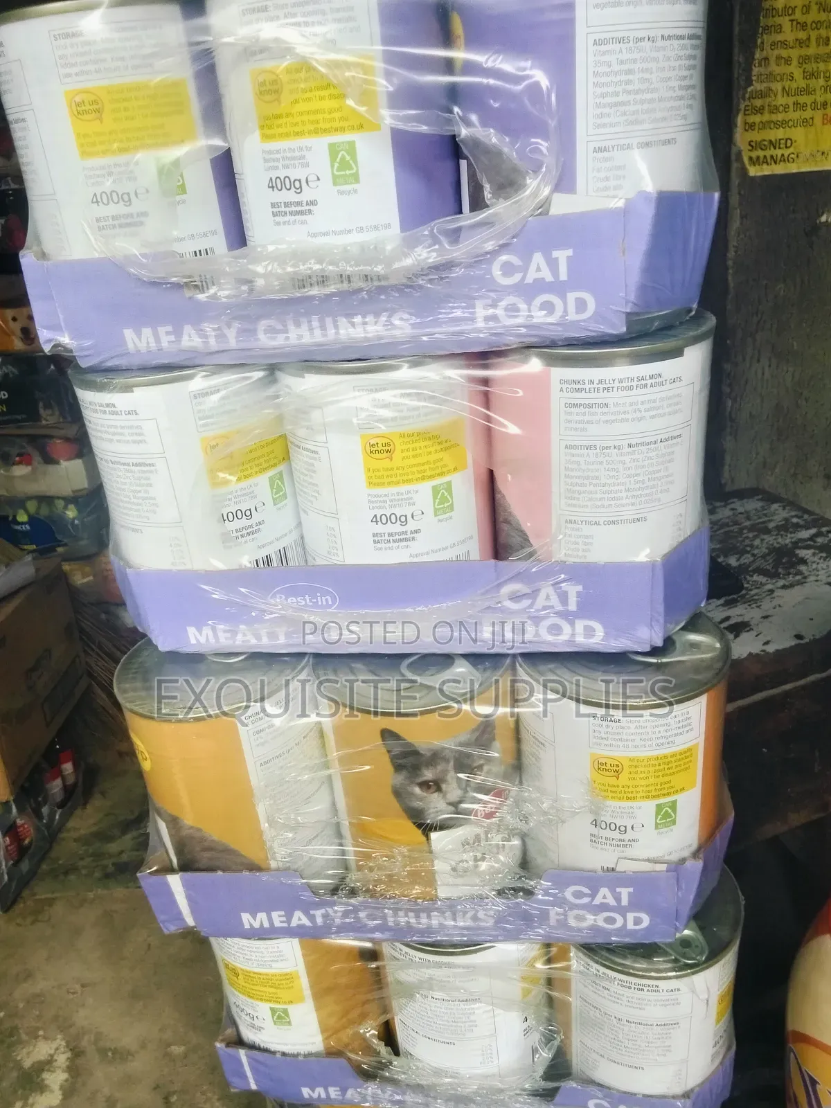 6-12 months Male Mixed Breed Exotic