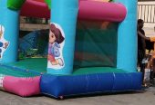 Dora Bouncing Castle Is Available