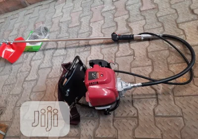 60536056_20201105-120620_1500x1125