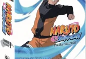 All Naruto Anime Episodes (Naruto And Naruto Shippudden)