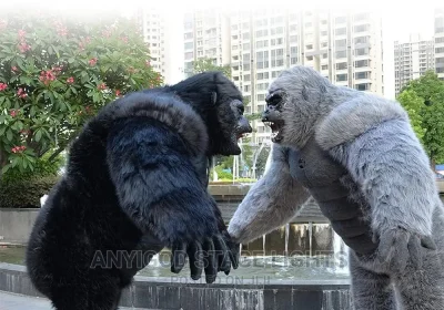 127374709_MTAwMC0xMDAwLTZlZWZlYzNmMGUtMQ