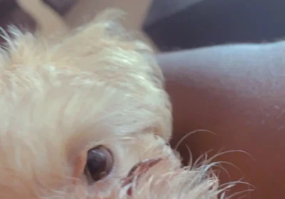 128968310_MTI0Mi0yMjA4LTVmMTM0ODZhNWUtMQ