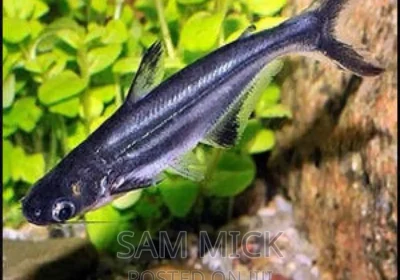 141493518_MTYwMC0xNjAwLTc2YjllNjU2NjA