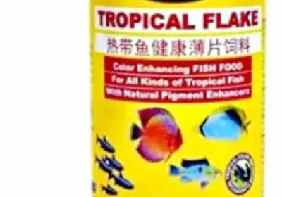 141785273_ODMzLTE1MDAtNjQwMmFjNjgxNg