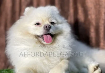 144424000_OTYwLTEyODAtZjRlZTRkYTk5Mg