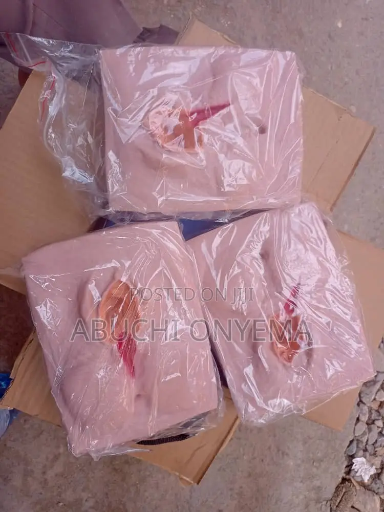 Premium Suturing Stimulator (Set of 3)