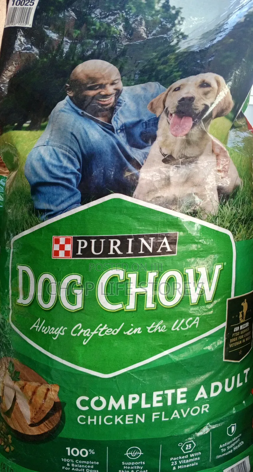 1+ year Male Mixed Breed Dog