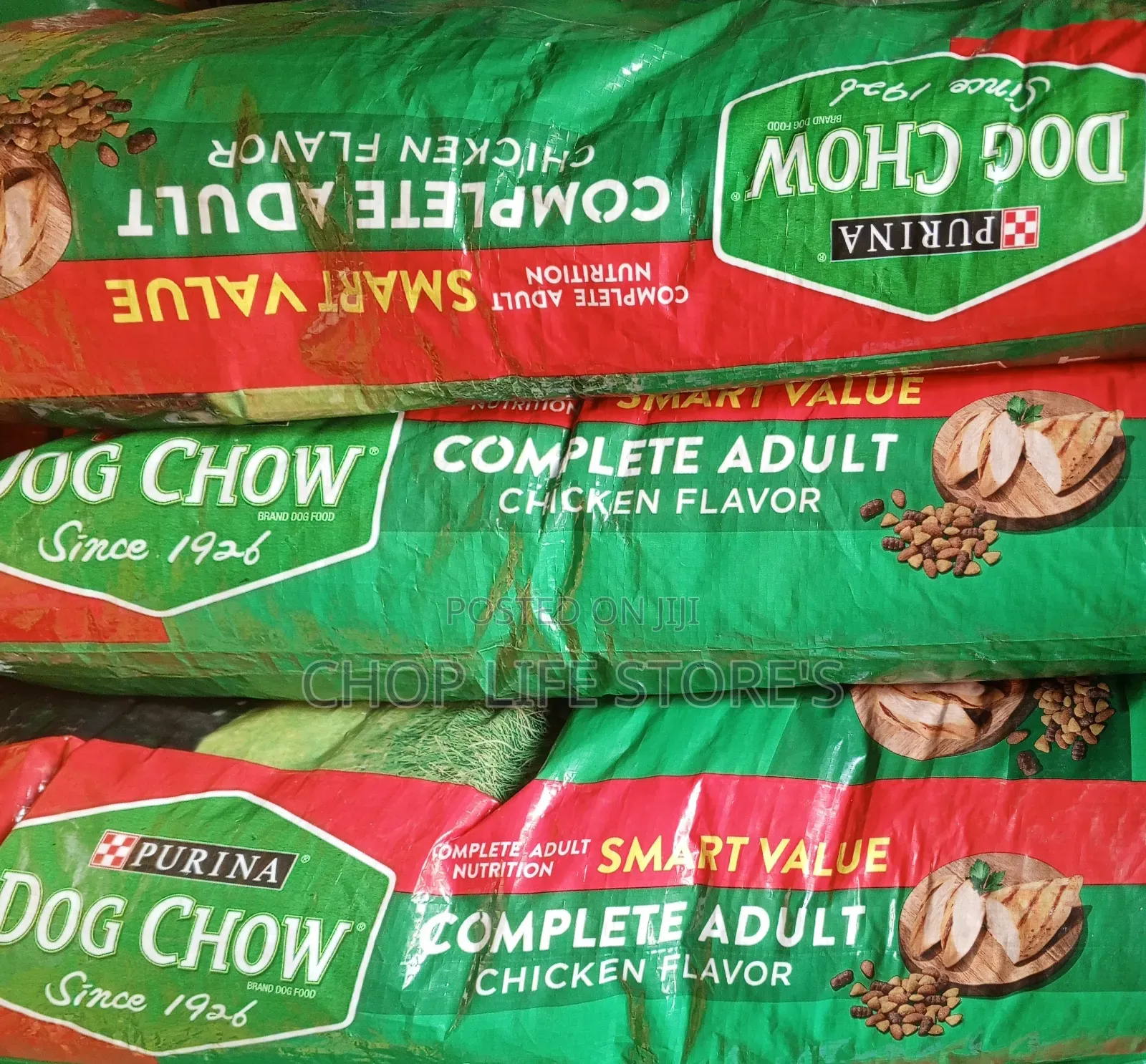 1+ year Male Mixed Breed Dog