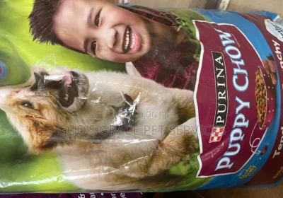 154515706_MTYwMC05MDAtYmVjZmI2NTE5Zg